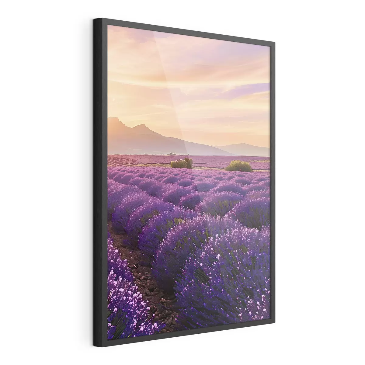 Plakat Lawenda na tle zachodu słońca w górach f45664
