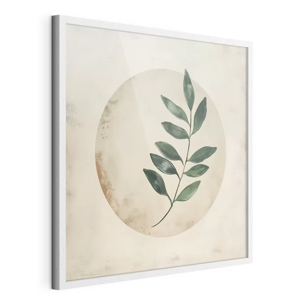Plakat Krąg botaniczny f46048