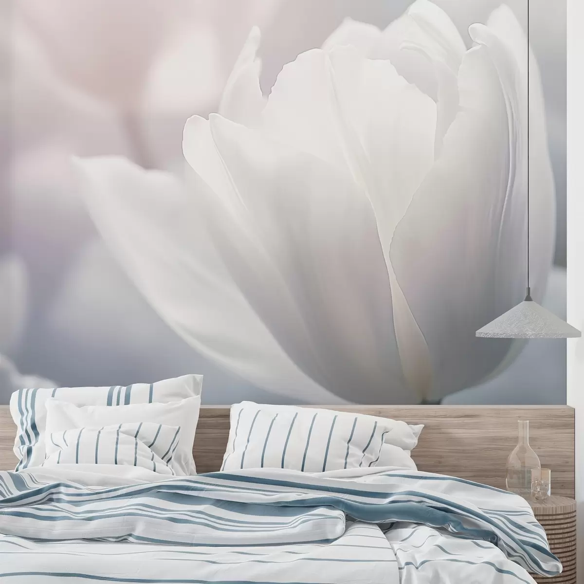 Fototapeta Tulipan w04659