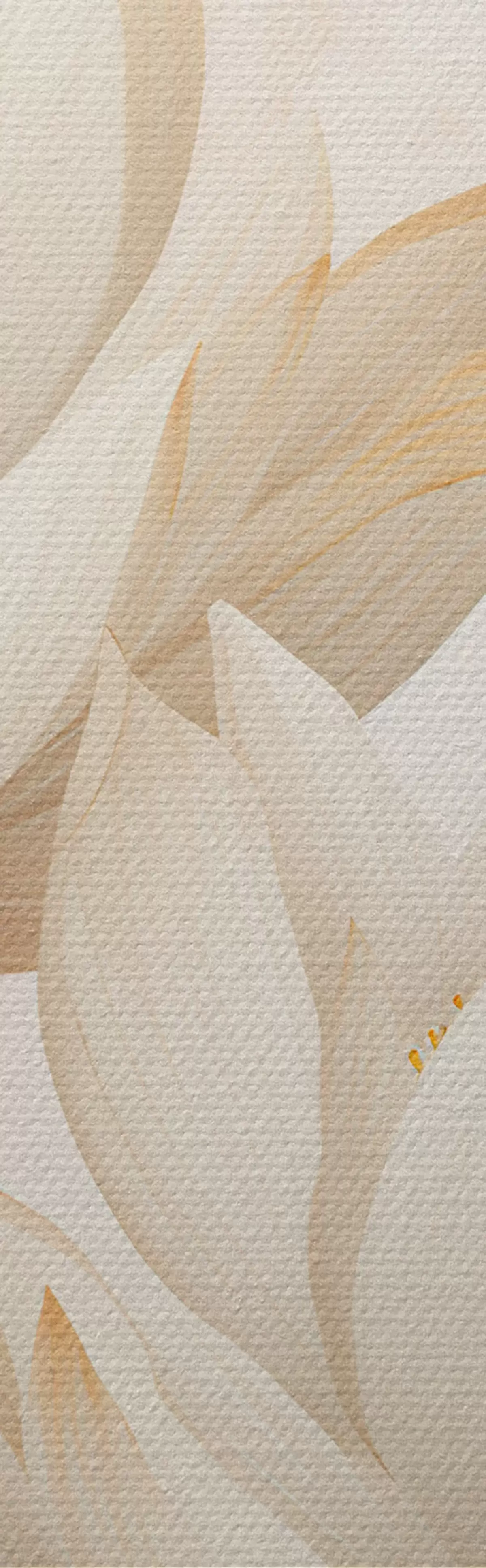 Obraz Piękne kwiaty lotosu m00861