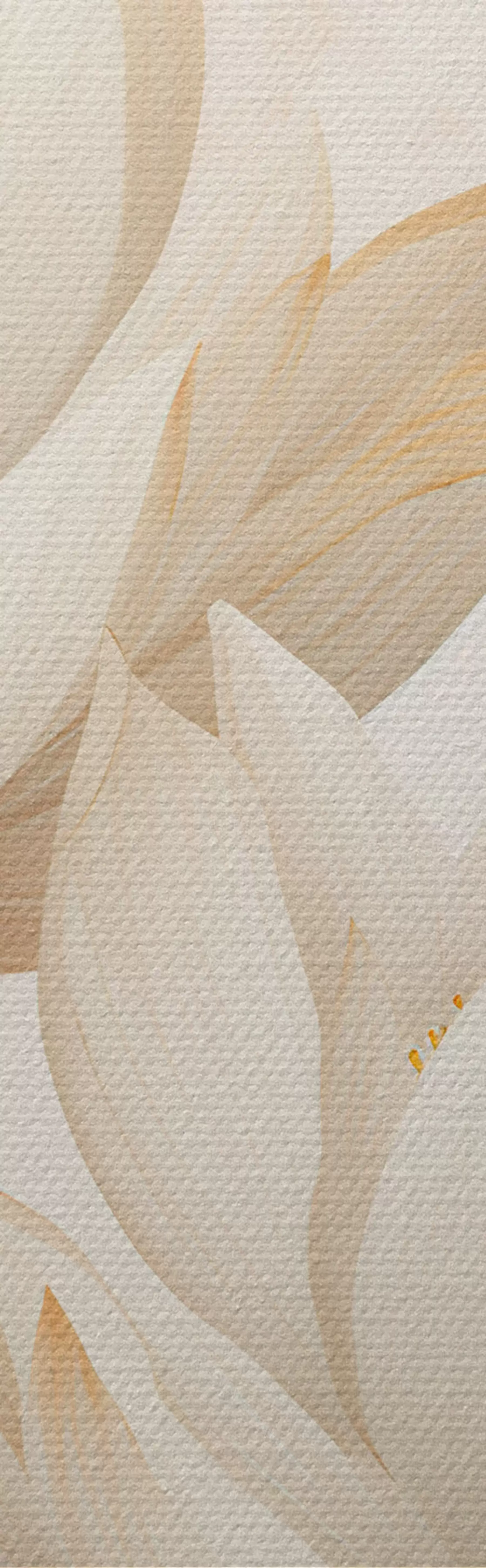 Obraz Piękne kwiaty lotosu m00861