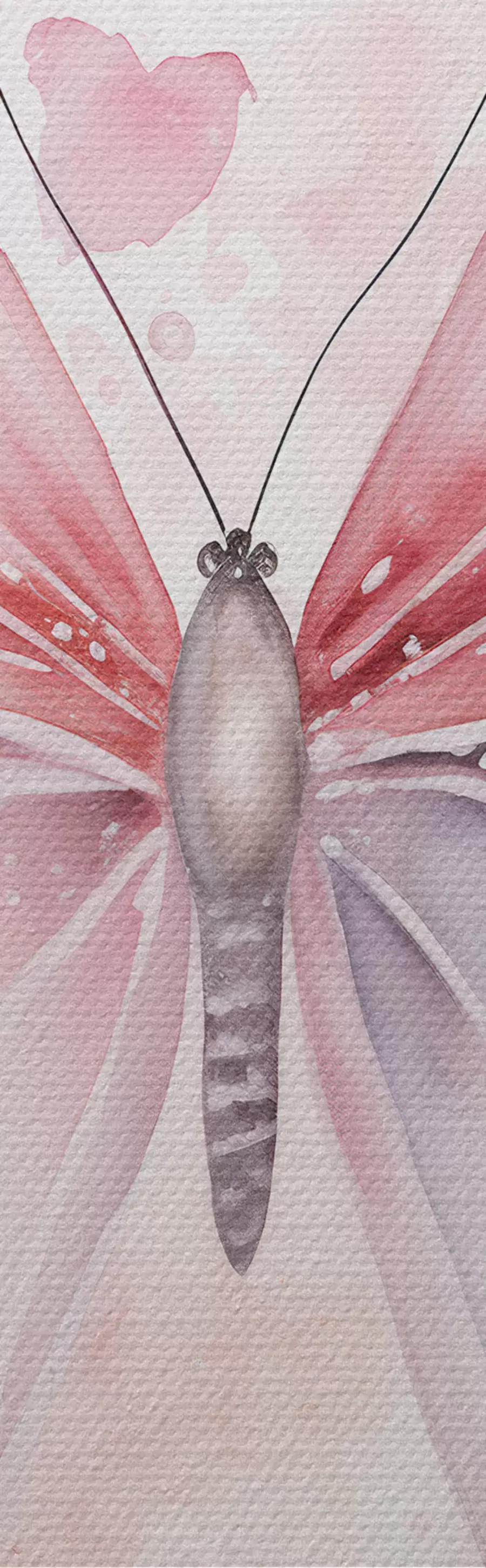 Obraz Różne różowe motyle m00864