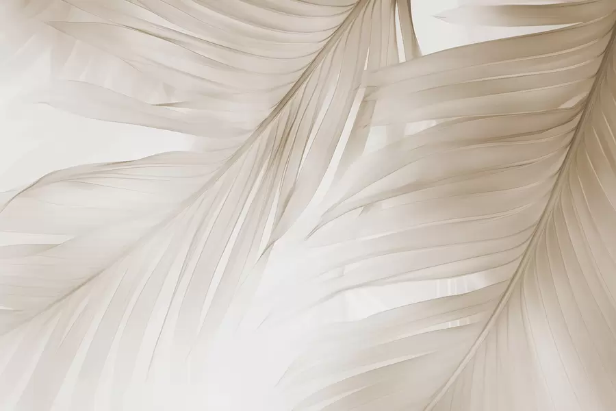 Fototapeta Liście paproci w04727