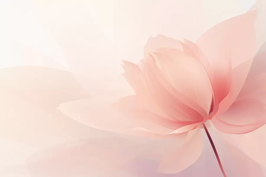 Fototapeta Duży kwiat w delikatnych brzoskwiniowo-różowych odcieniach w09356