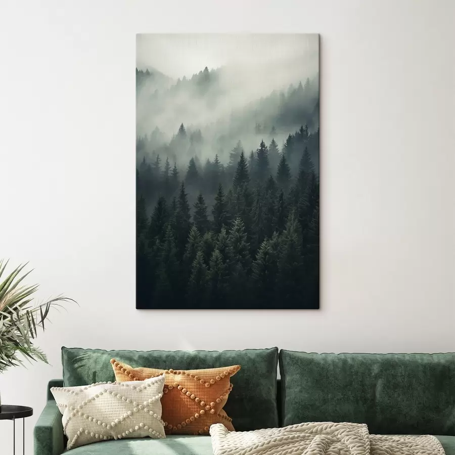 Obraz Mgła unosząca się nad gęstym, wiecznie zielonym lasem s46512