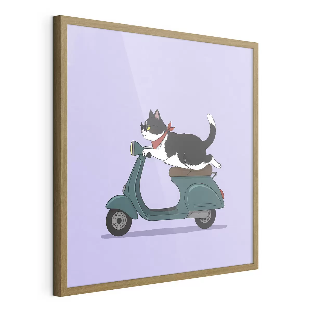 Plakat Kot na motorowerze f46847