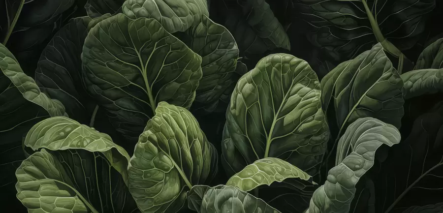 Fototapeta Zabawne zielone liście w05043