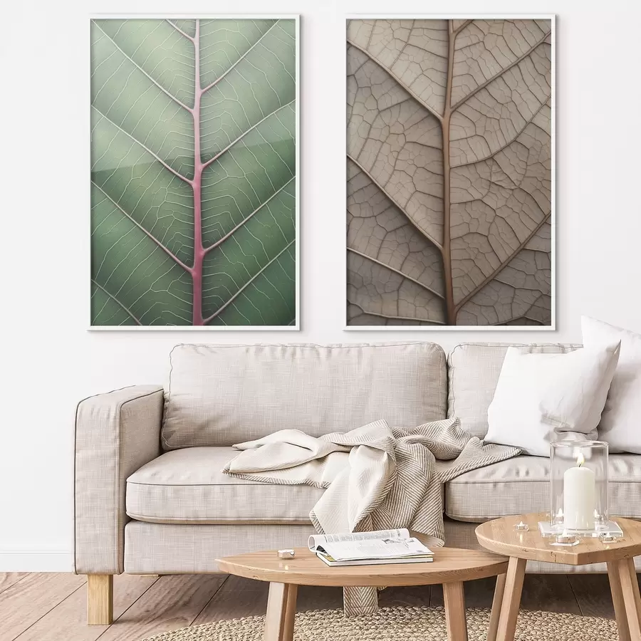 Fototapeta Liść żyłkowany d00663