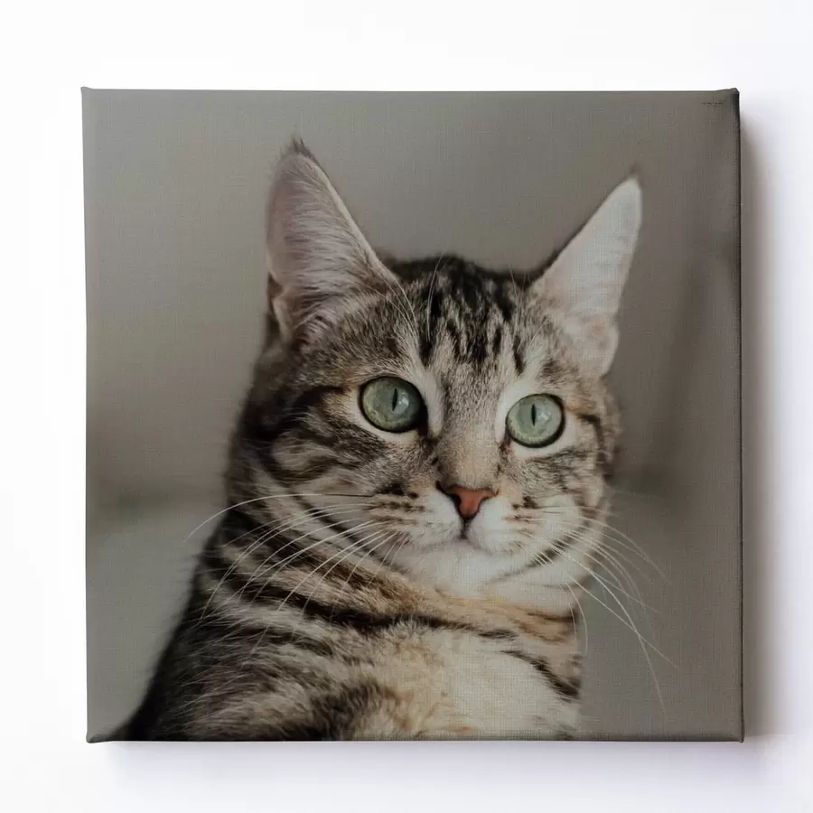 Obraz Romantyczny prezent dla pary na podstawie zdjęcia s47204