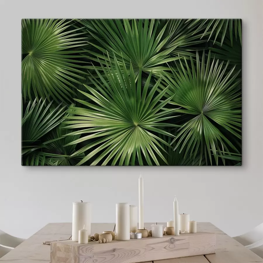 Obraz Duże liście, bragaea s47746