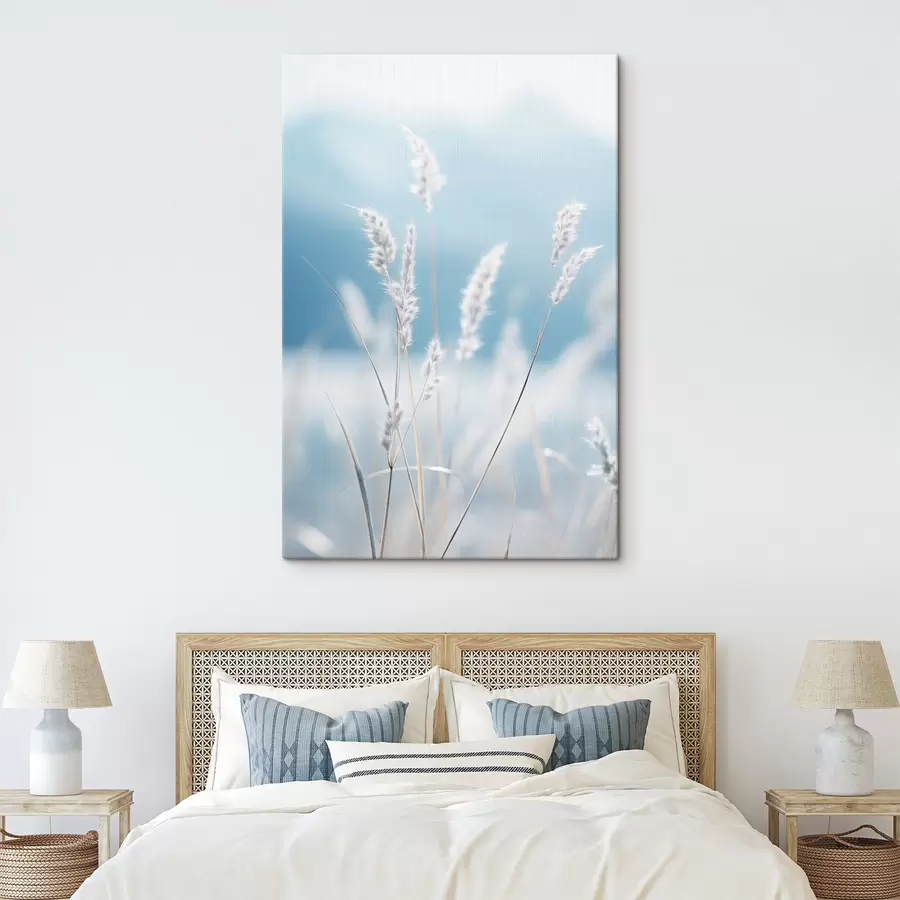 Obraz Biała, puszysta trawa na tle delikatnego błękitnego nieba, z płytką głębią ostrości. s47880