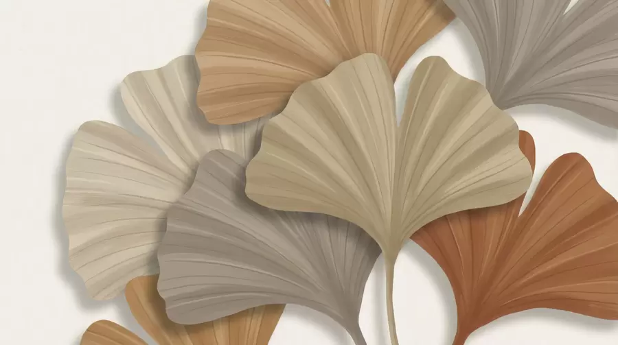 Fototapeta Duże liście w05288