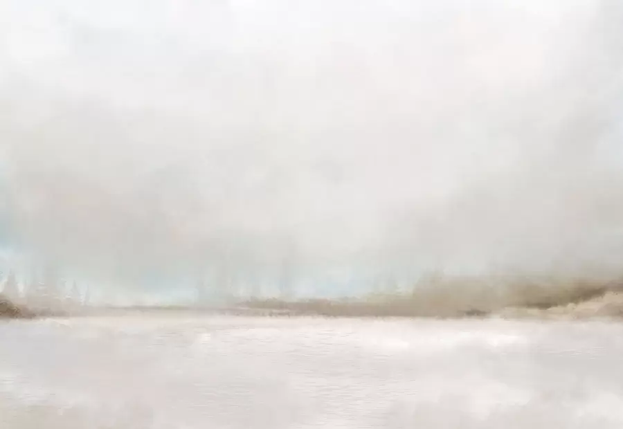 Fototapeta Mglisty krajobraz z jeziorem i lasem w05319