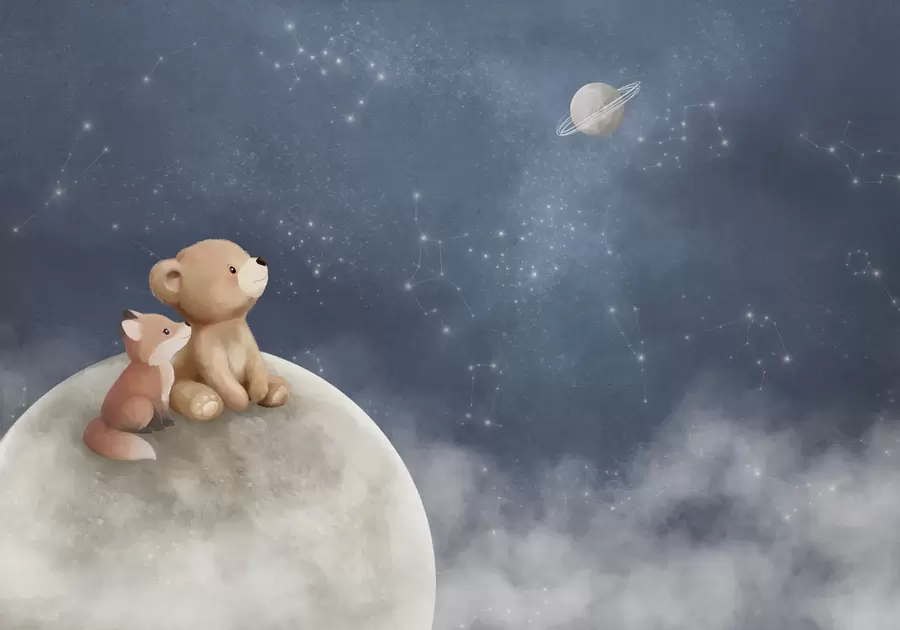 Fototapeta Pastelowa ilustracja przedstawiająca niedźwiadka i lisa na tle nocnego nieba w05431