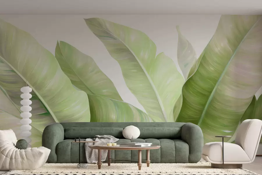 Fototapeta Duże liście bananowca w05499