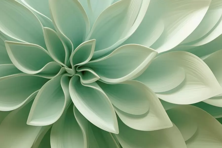 Fototapeta Geometria botaniczna w05559