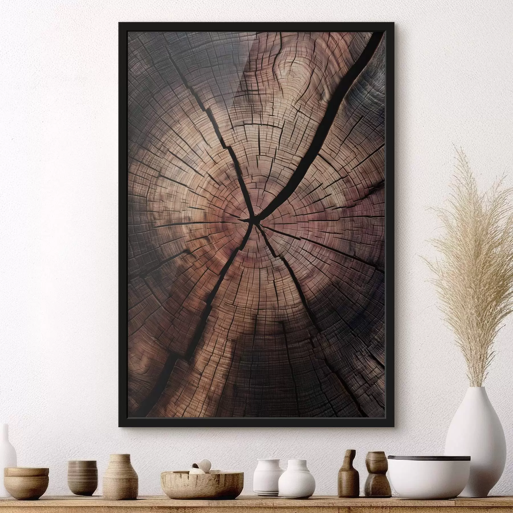 Fototapeta przekrój drewna sekwojowego f49561