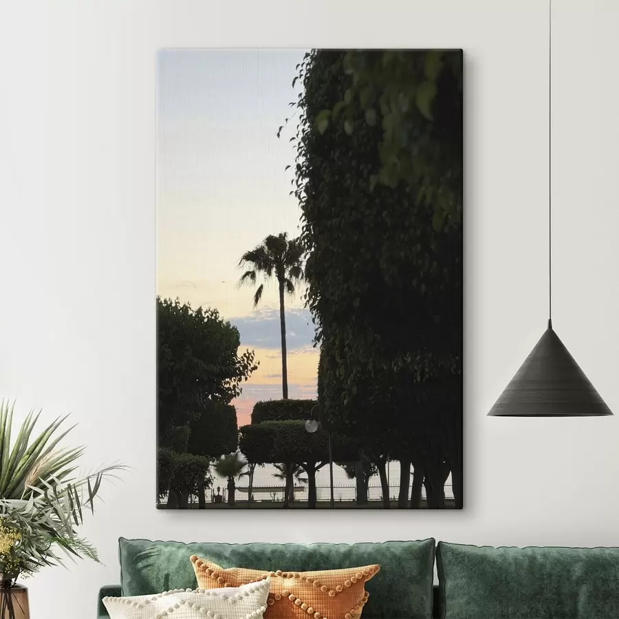 Fototapeta Palma w parku krajobrazowym o zachodzie słońca s49697