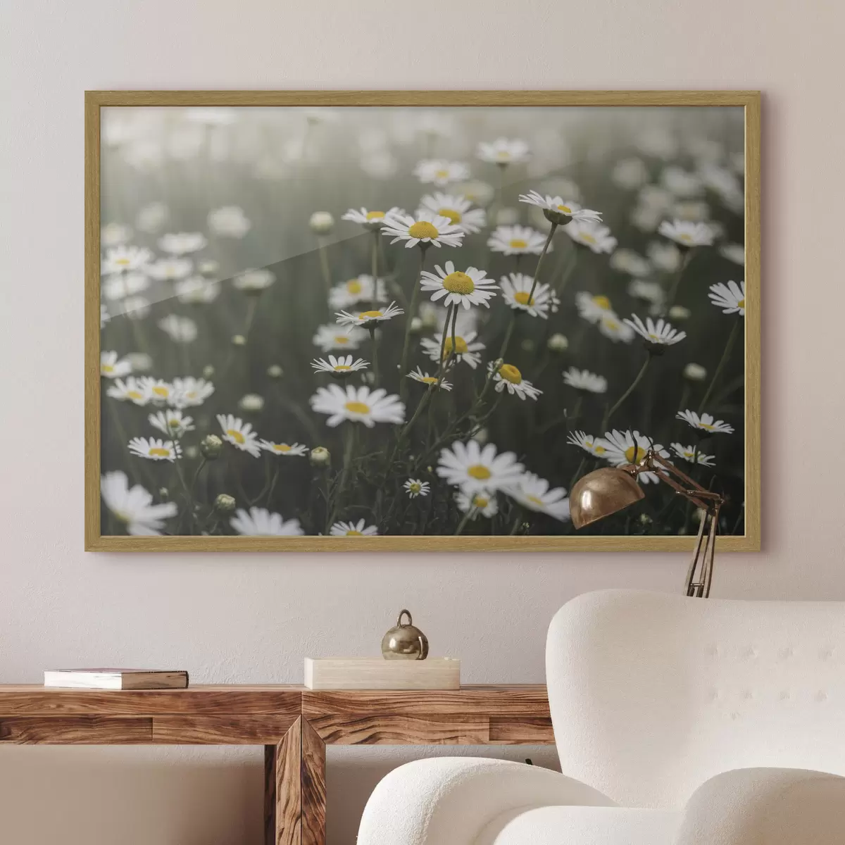 Plakat Pole białych stokrotek z żółtymi środkami f50588