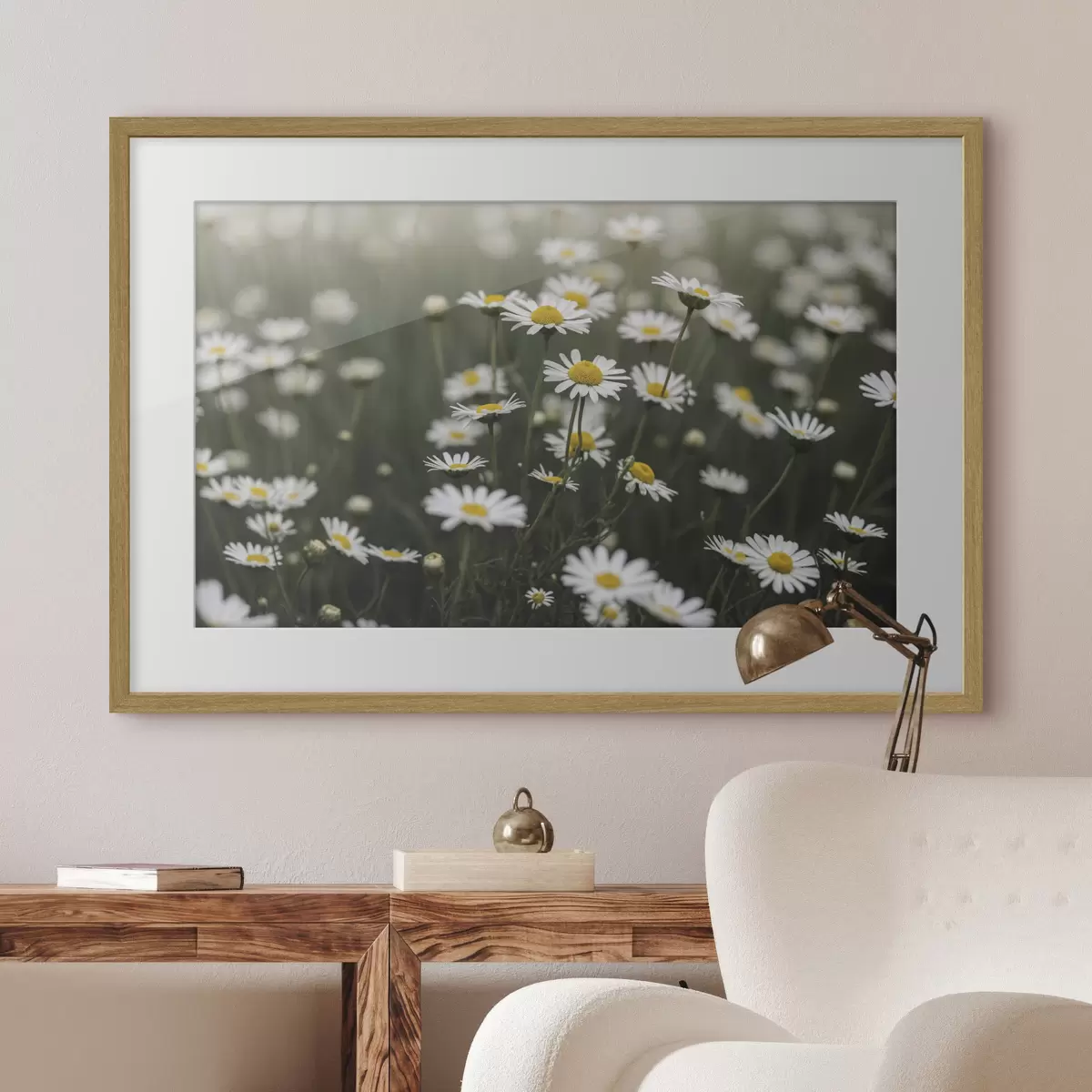 Plakat Pole białych stokrotek z żółtymi środkami f50588