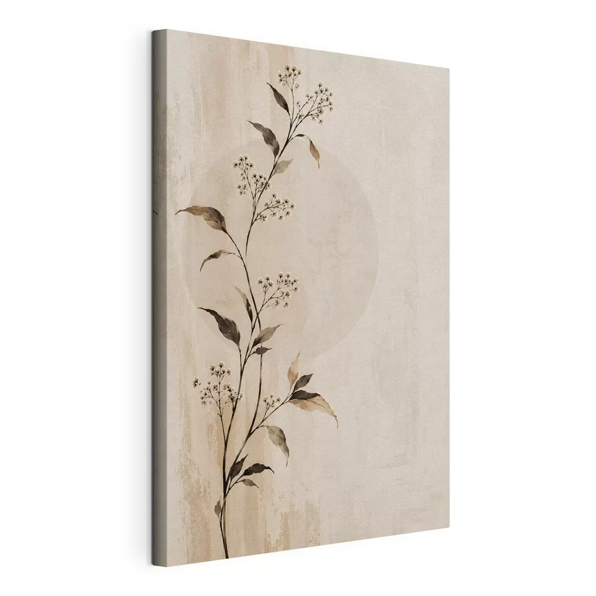 Obraz Cicha elegancja s50725
