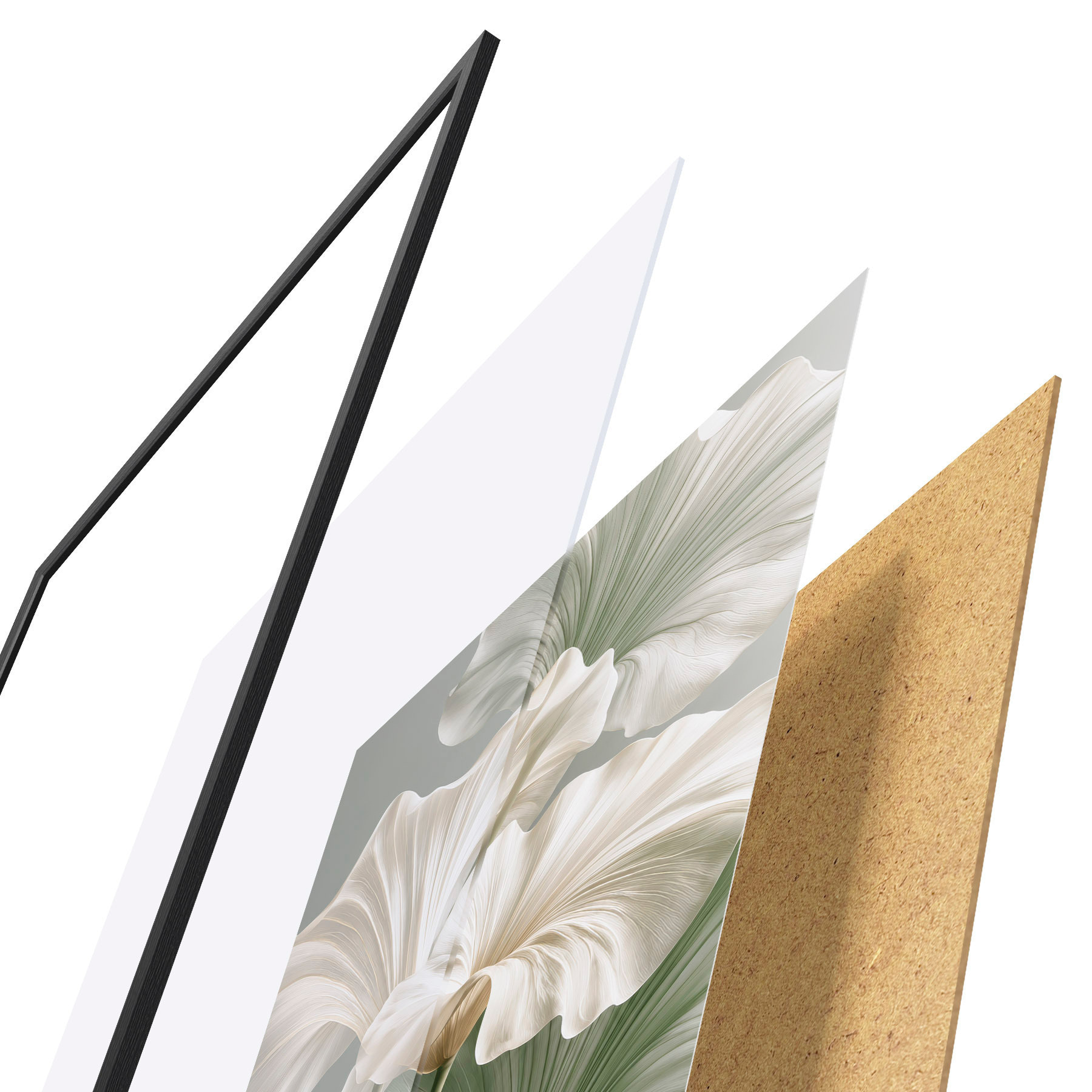 Plakat Delikatne liście f50868