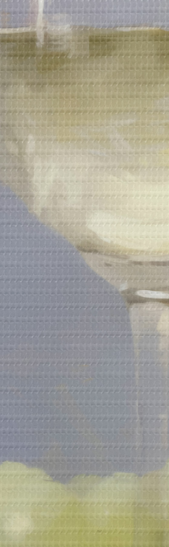 Obraz Kieliszek wina i winogrona, imitacja obrazu s51136