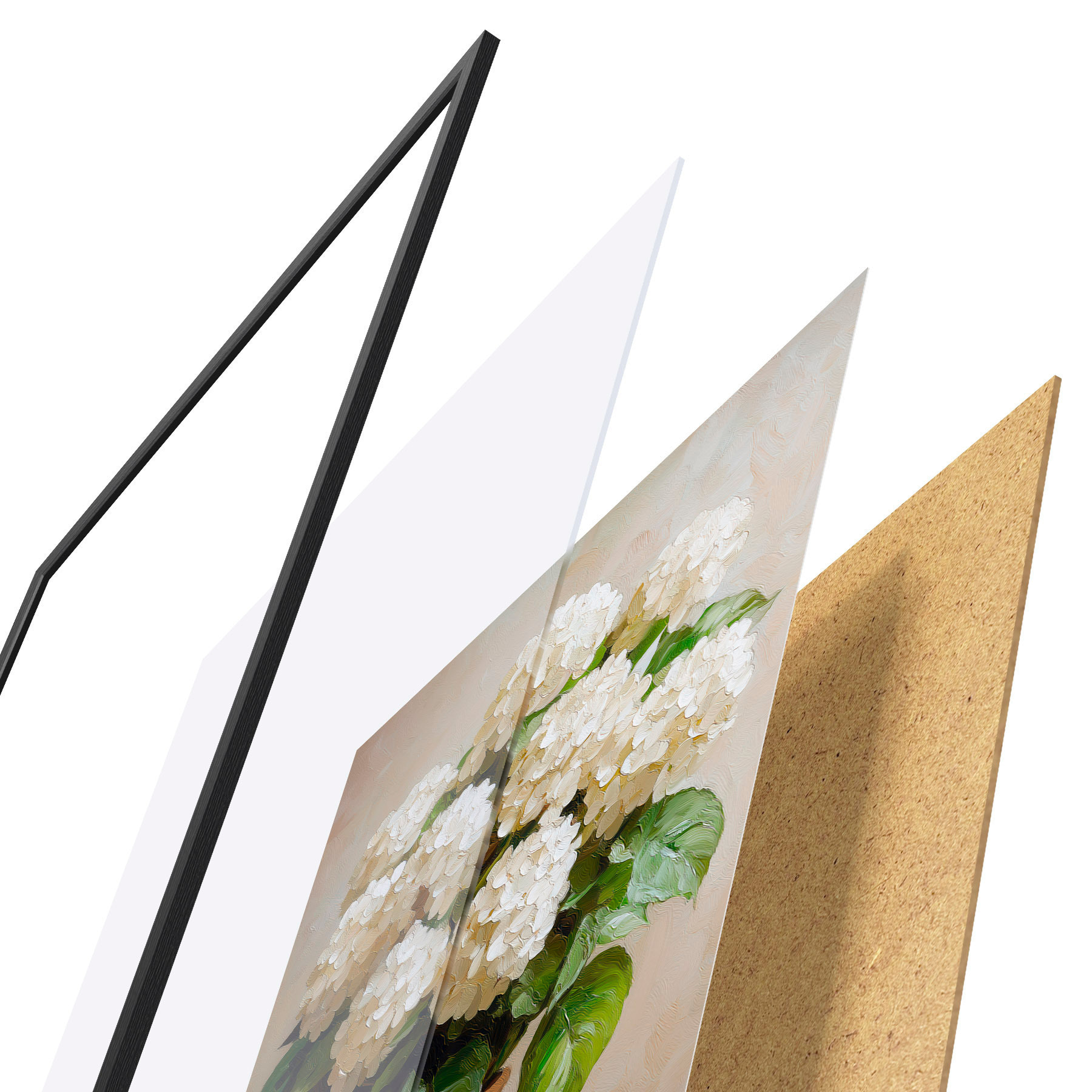 Plakat Białe hortensje f51062