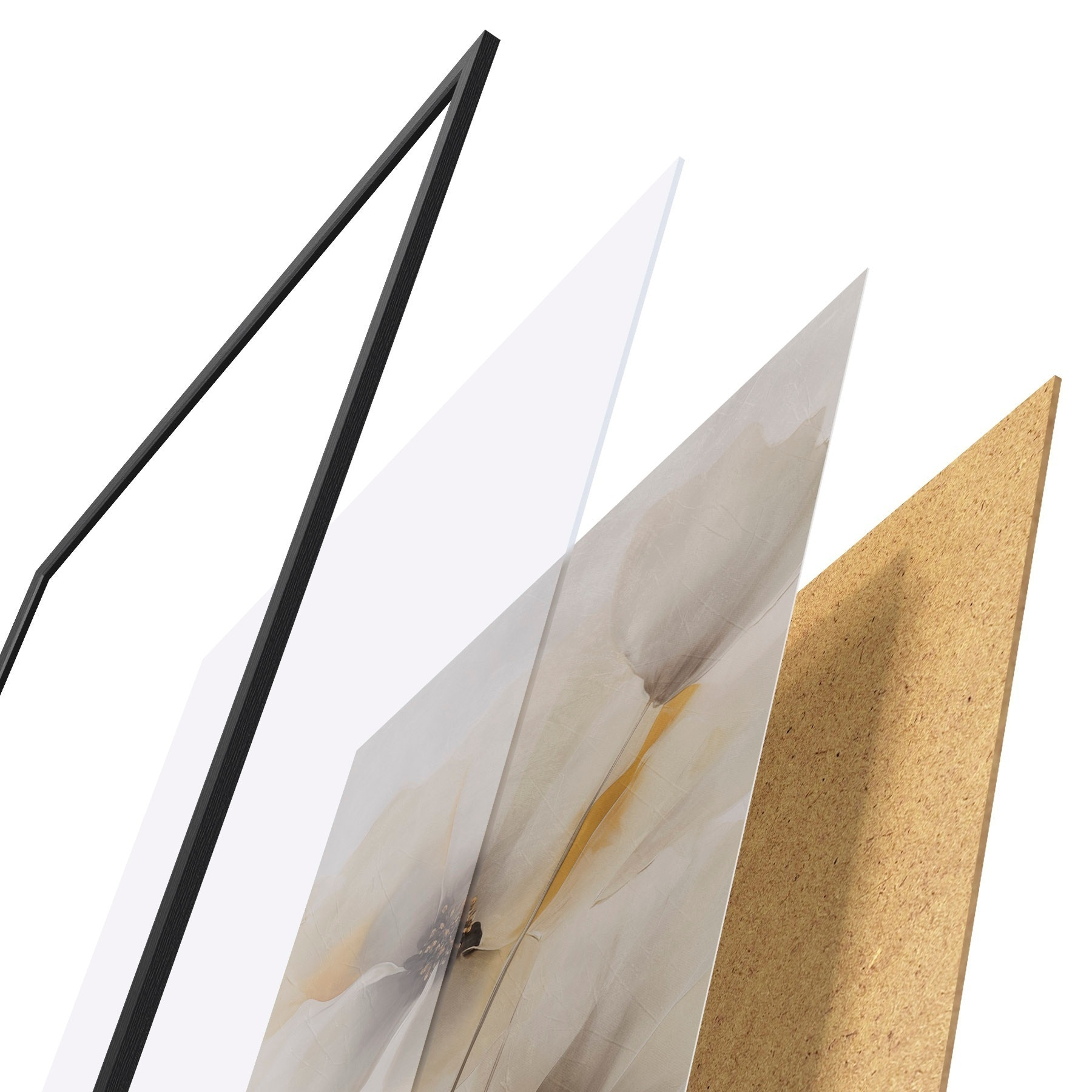 Plakat Delikatne maki na smukłych łodygach f51089