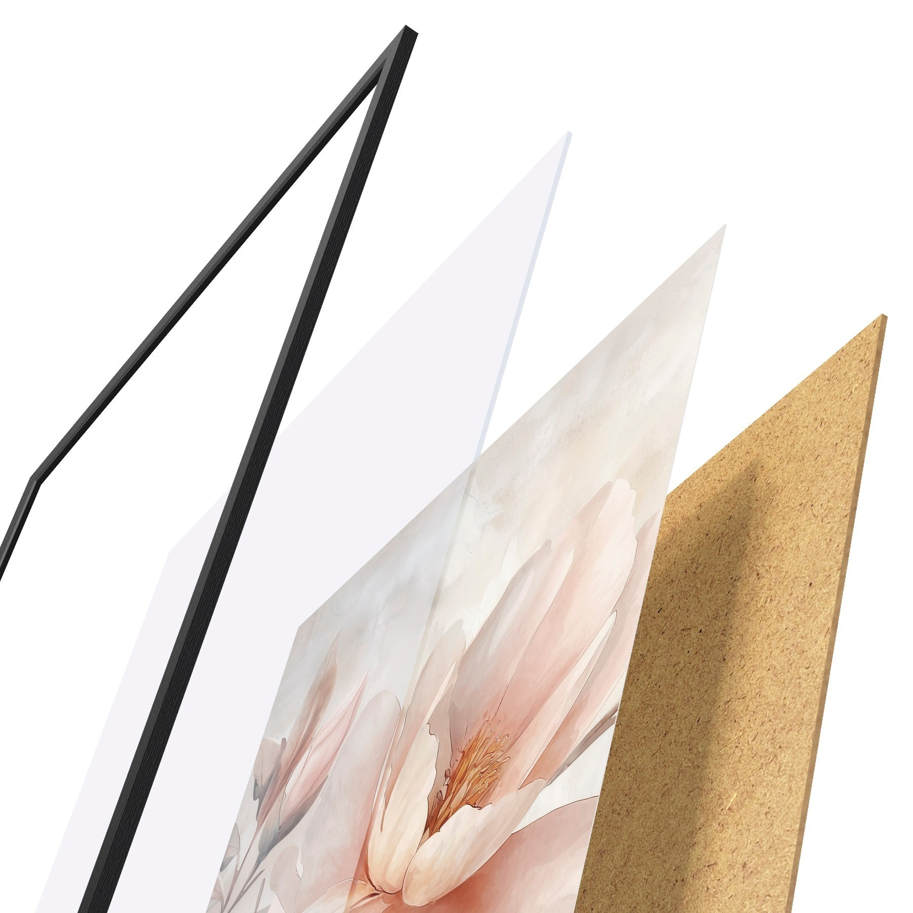 Plakat Piwonia w proszku z pączkiem f51097