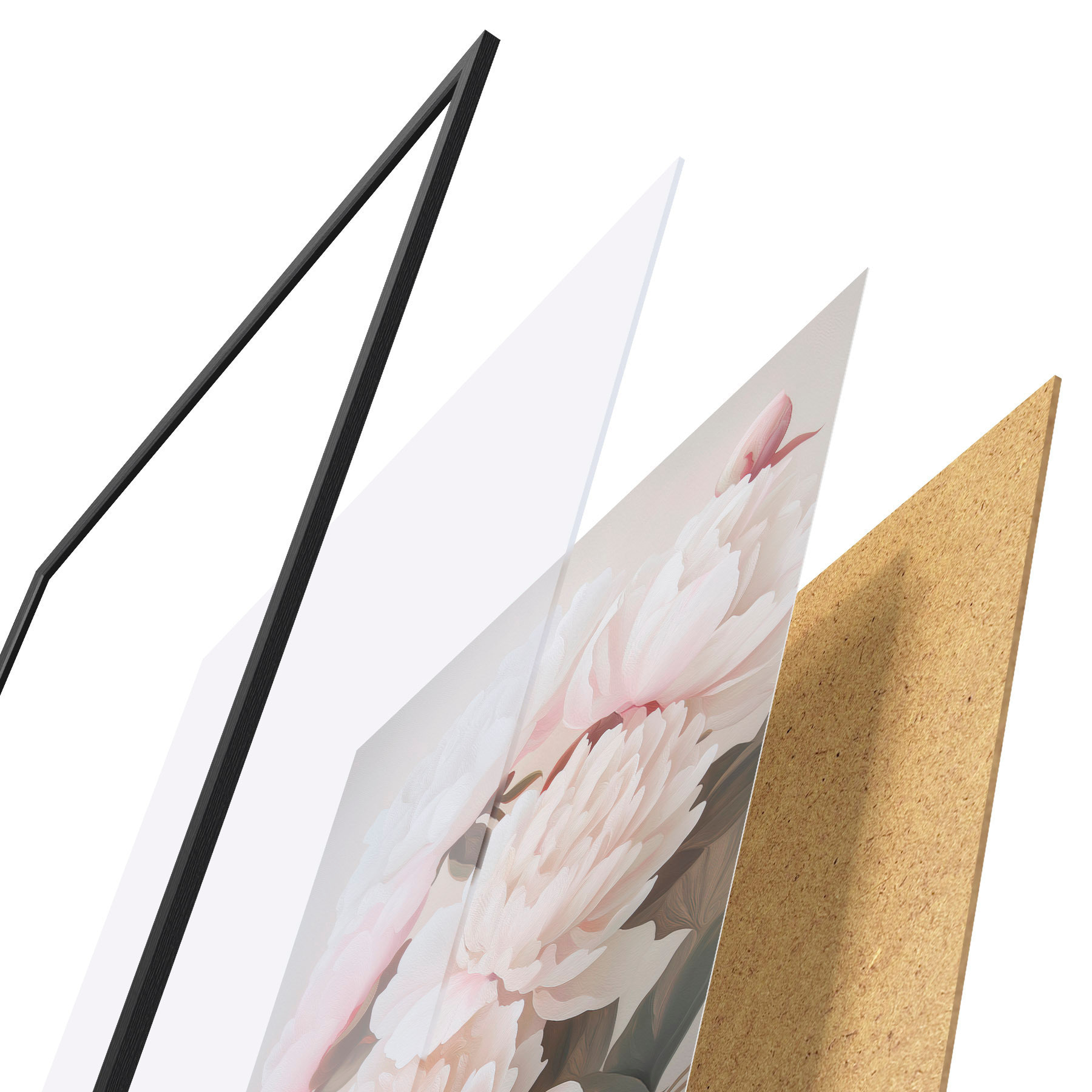 Plakat Piwonie f51153