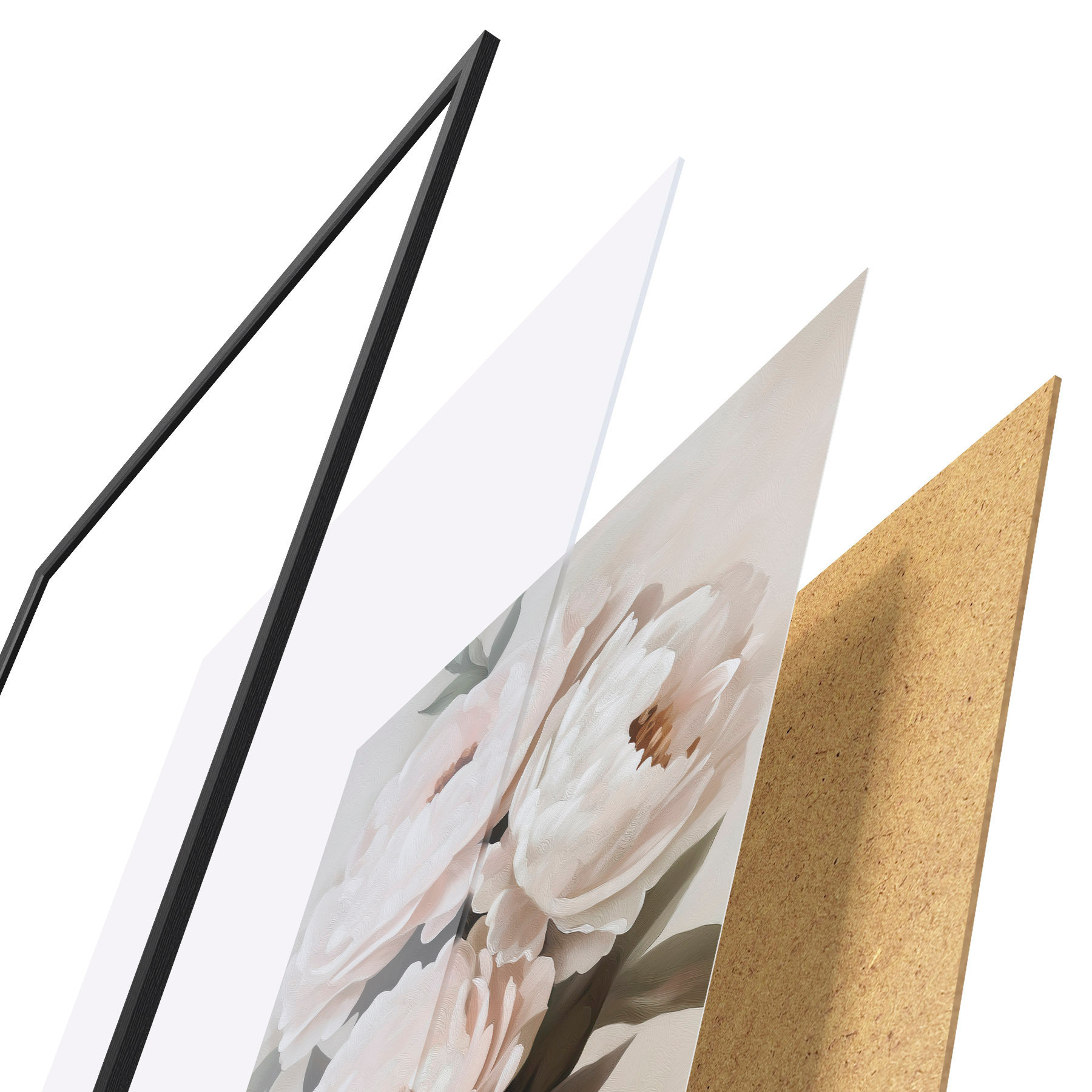 Plakat Piwonie f51154