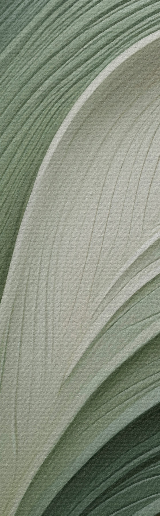 Obraz Abstrakcja s51161