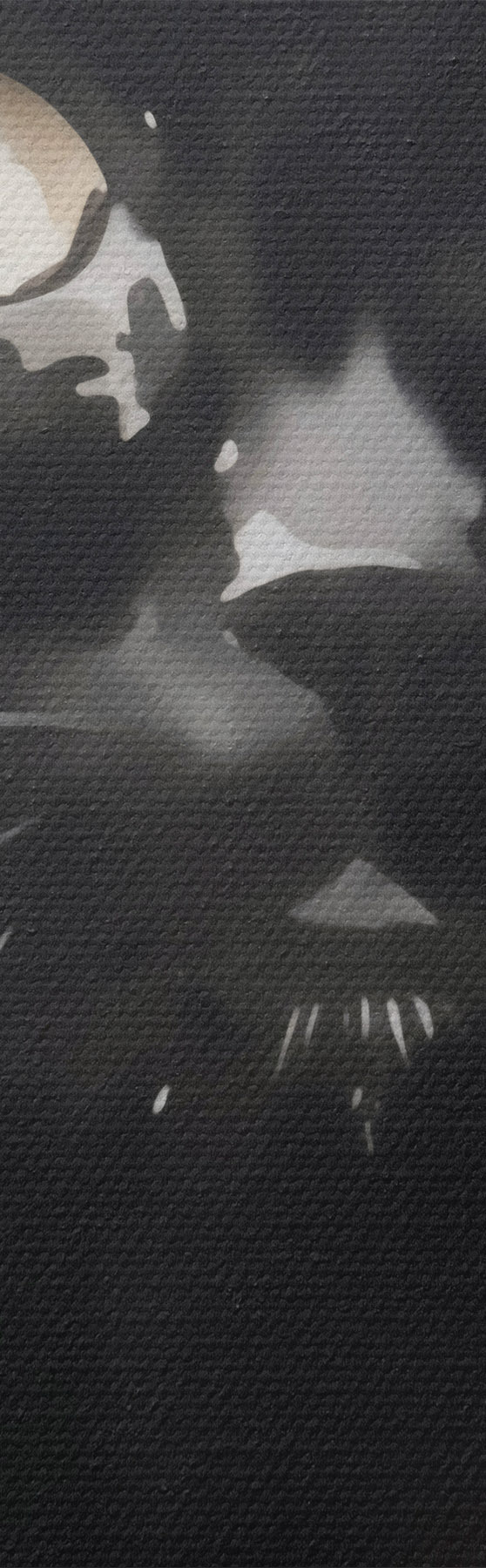 Obraz Portret kota, imitacja obrazu s51169