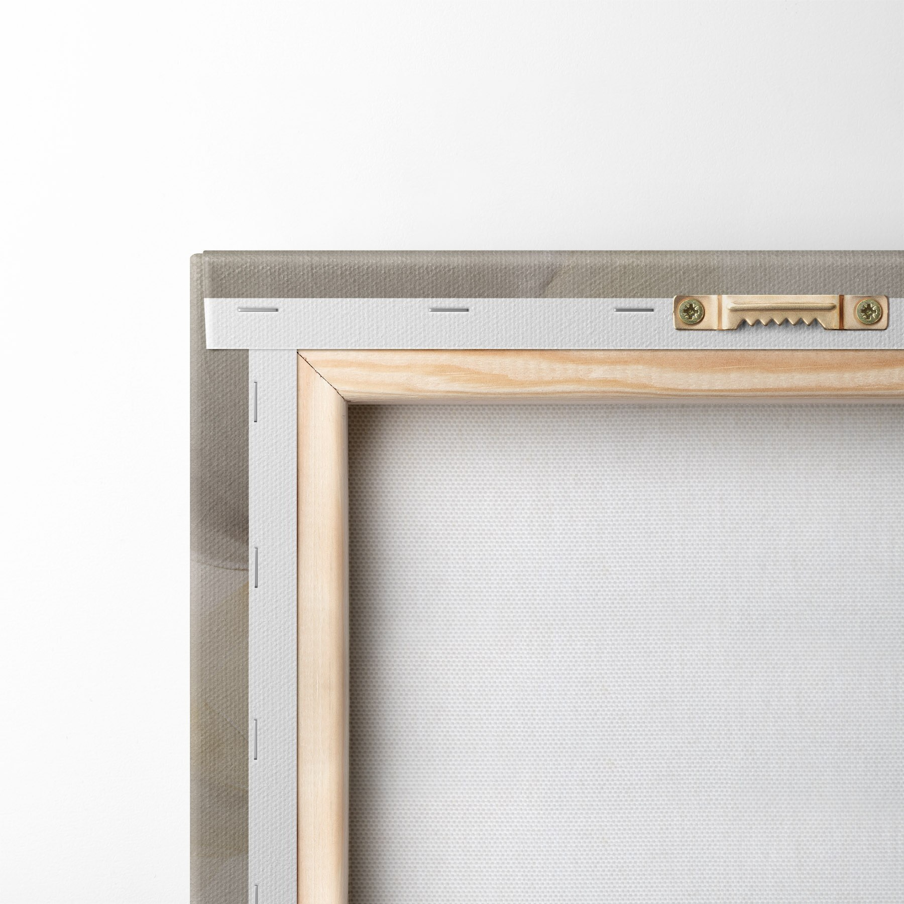 Obraz Lekkie maki w pastelowych odcieniach m31090
