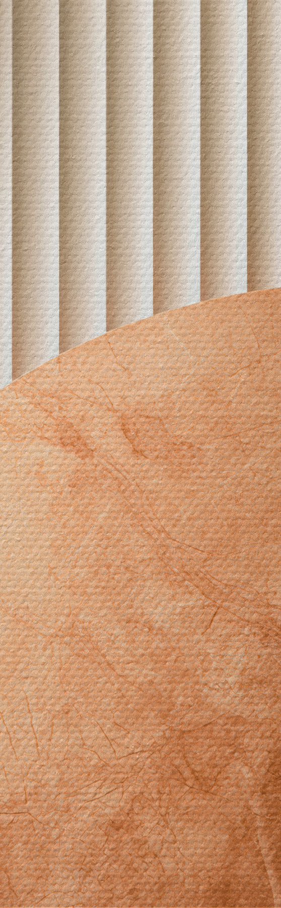 Obraz Nowoczesna geometria abstrakcyjna s51282