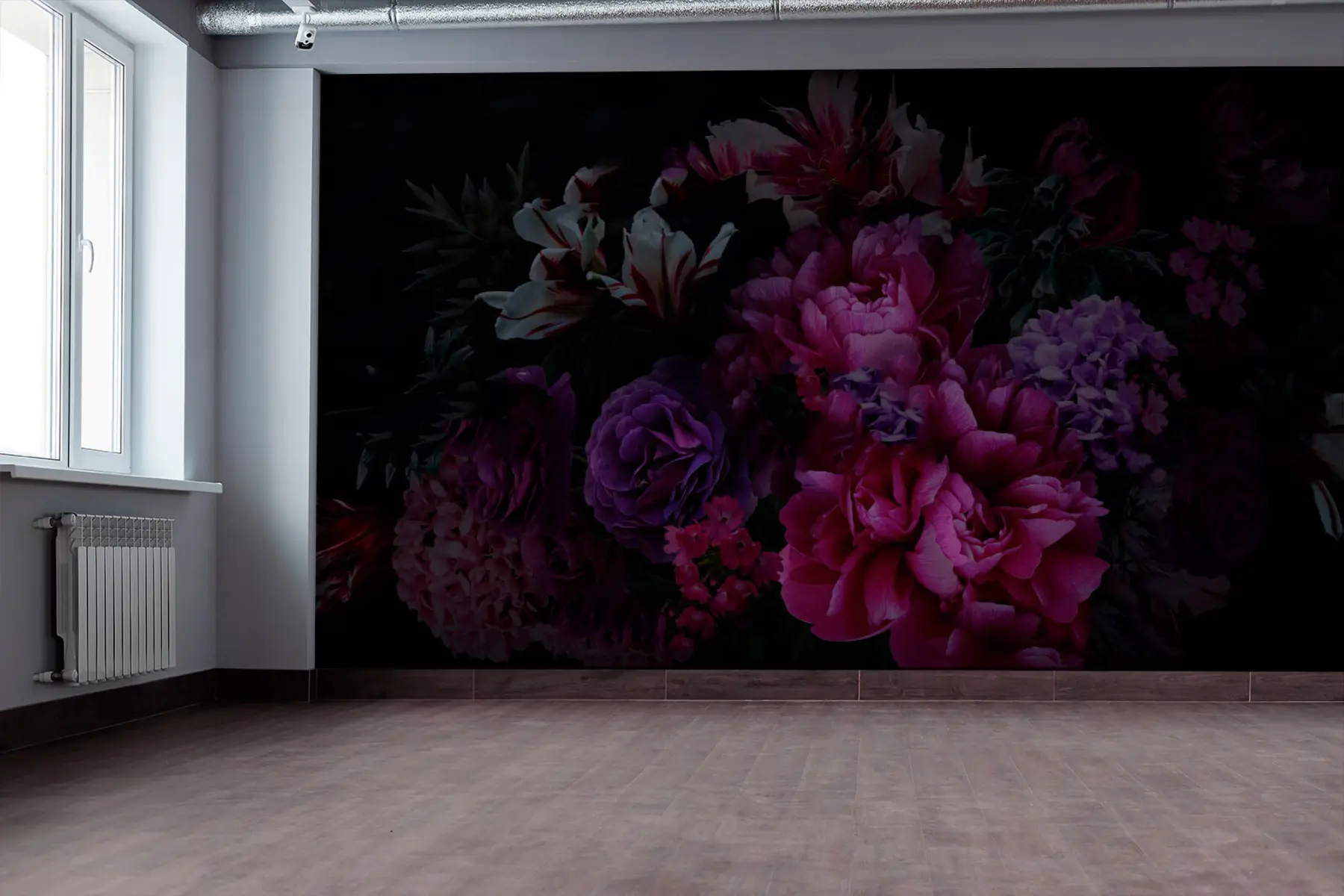 Fototapeta Pawie pióra u72224