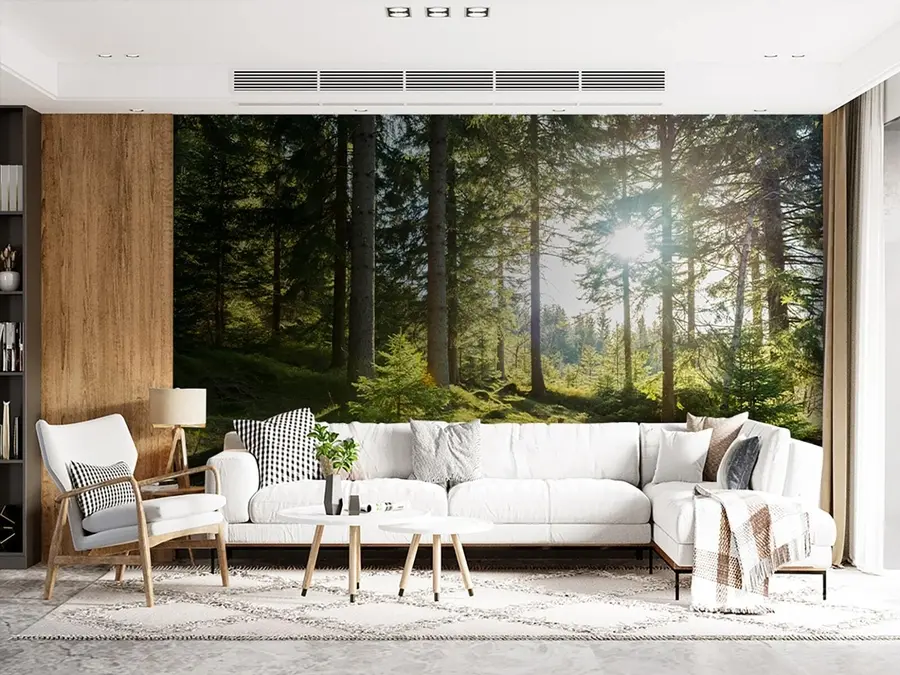 Fototapeta Karkonosze w Polsce u80015