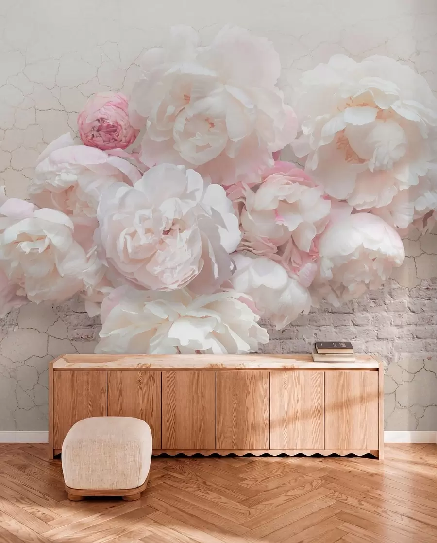 Fototapeta Białe peonie na zniszczonej ścianie u79549