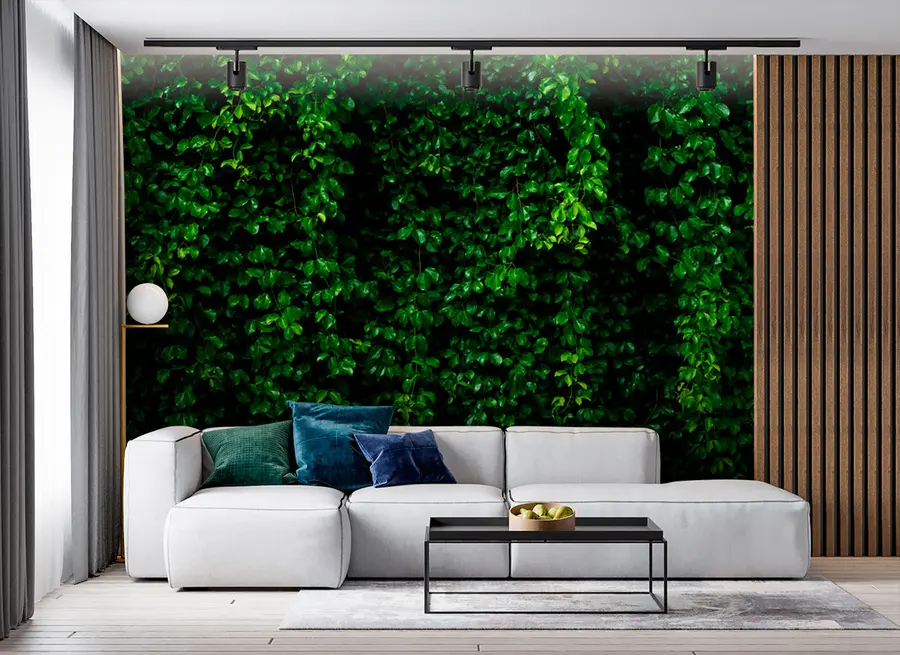 Fototapeta ciemnozielony liść tropikalny u94381