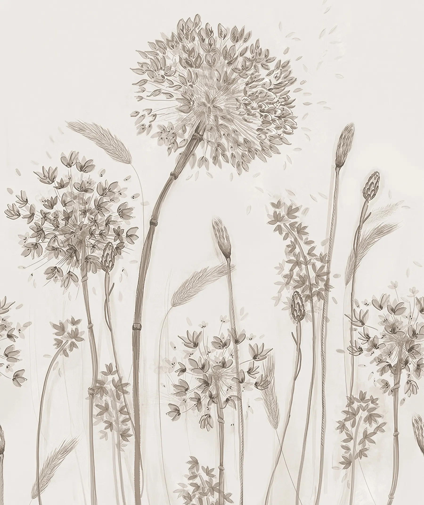 Fototapeta Duże kwiaty łąkowe mniszek lekarski w stylu monochromatycznym minimalizm loftowy u96934