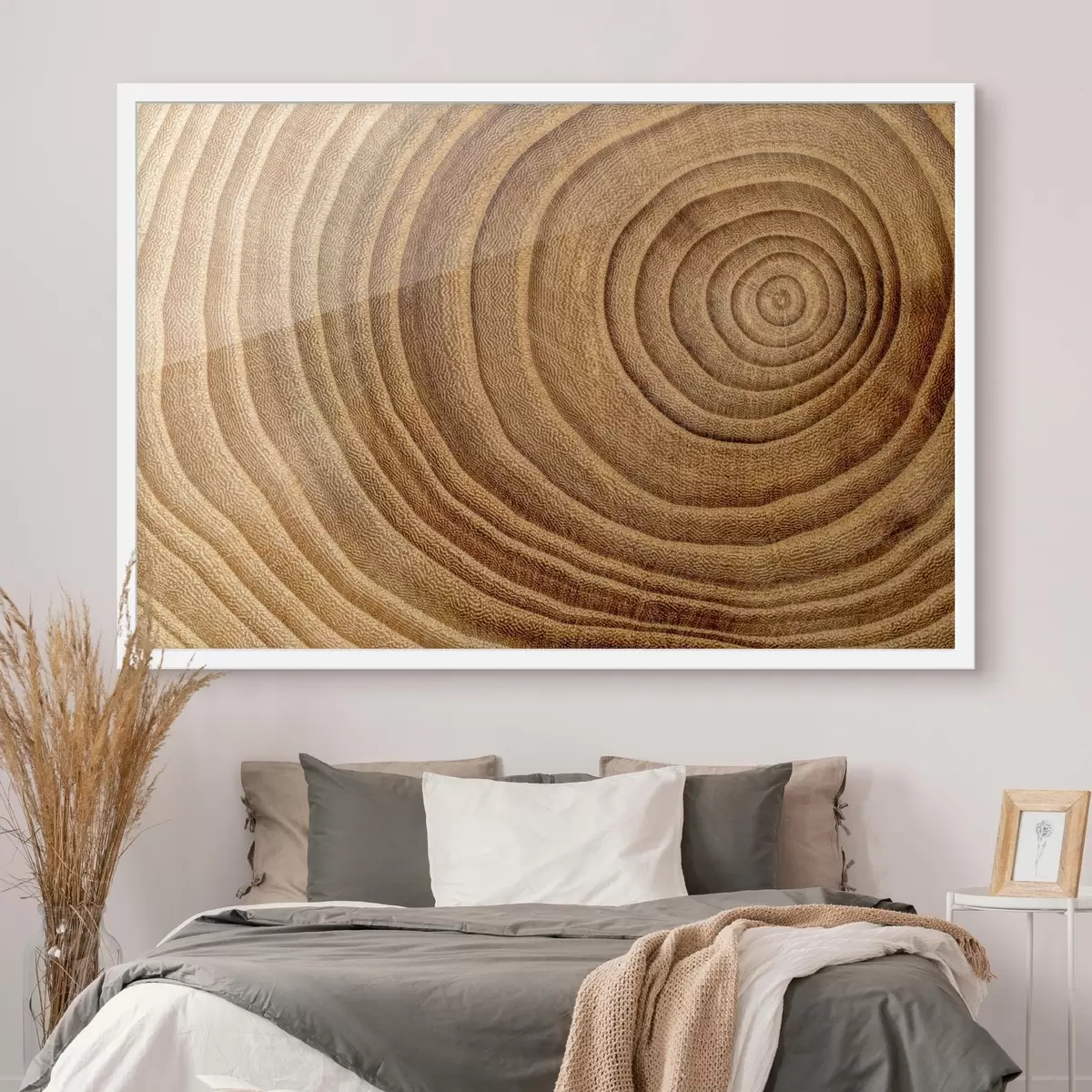 Plakat Przekrój poprzeczny drzewa f35991