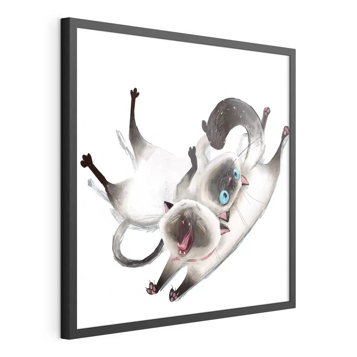 Plakat Dwa koty syjamskie f34990