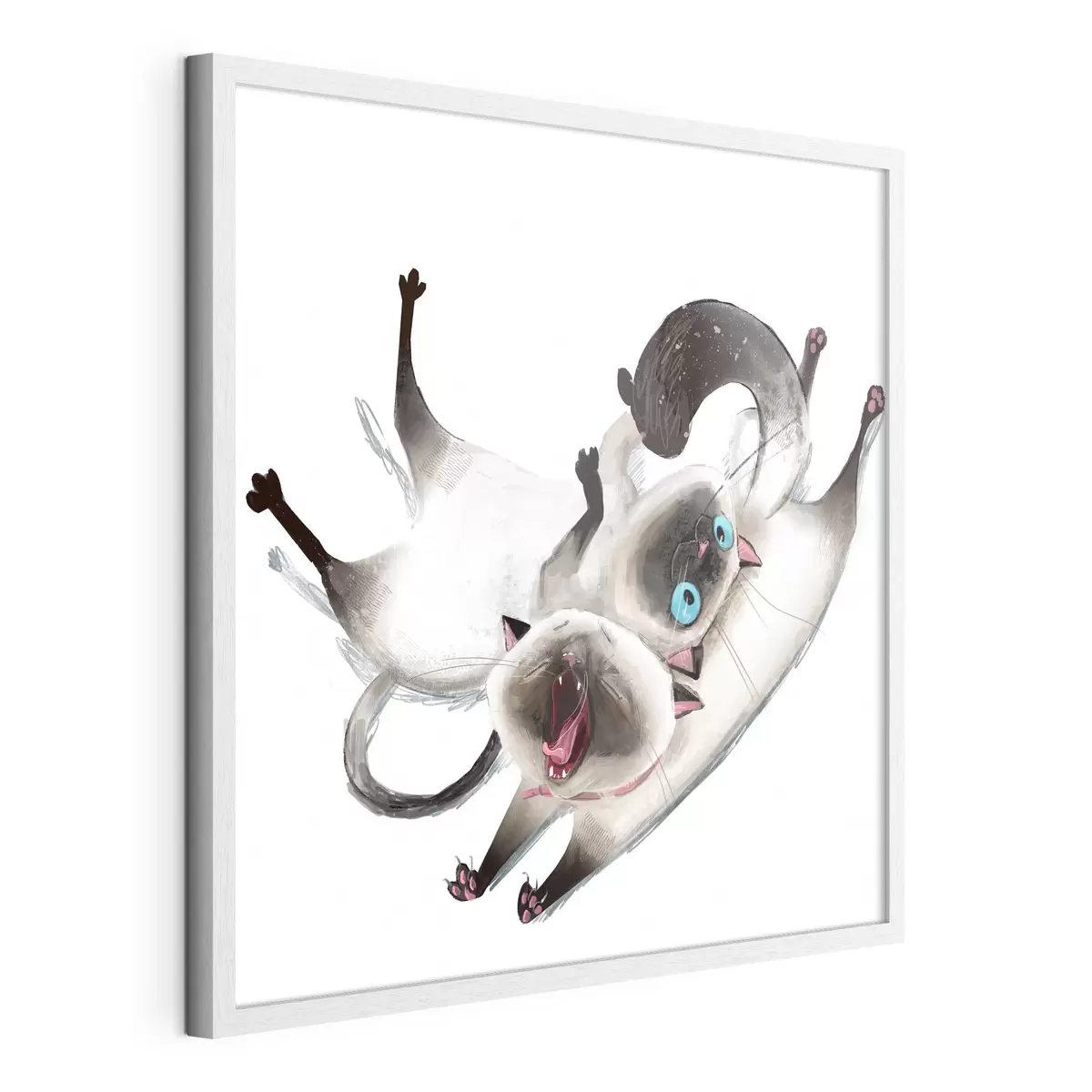 Plakat Dwa koty syjamskie f34990