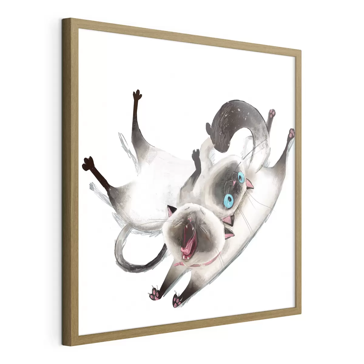 Plakat Dwa koty syjamskie f34990