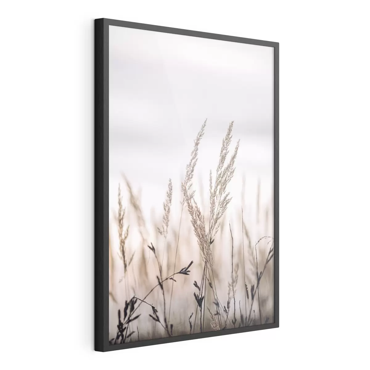 Plakat Widok z bliska łodygi trawy na tle nieba f33070