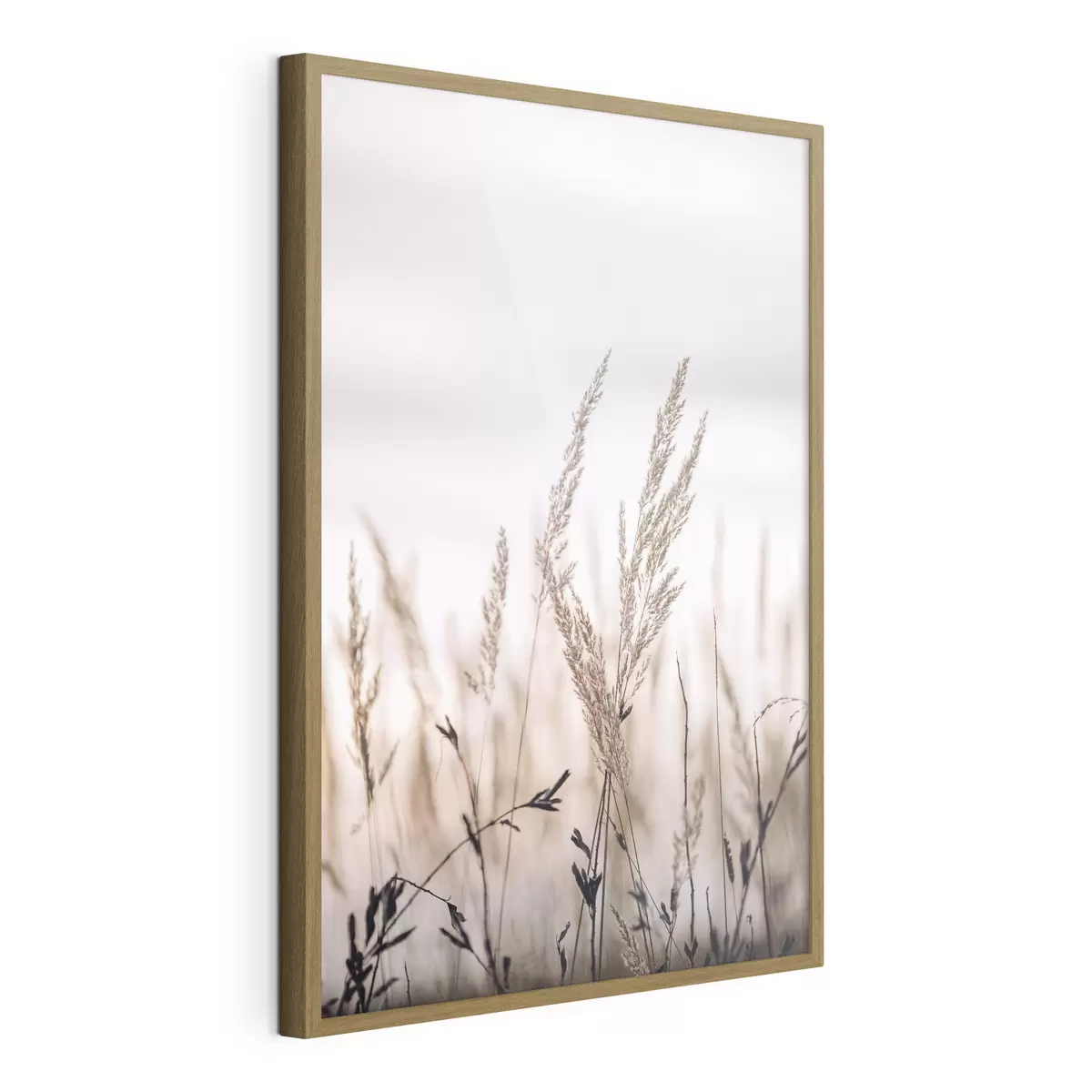 Plakat Widok z bliska łodygi trawy na tle nieba f33070