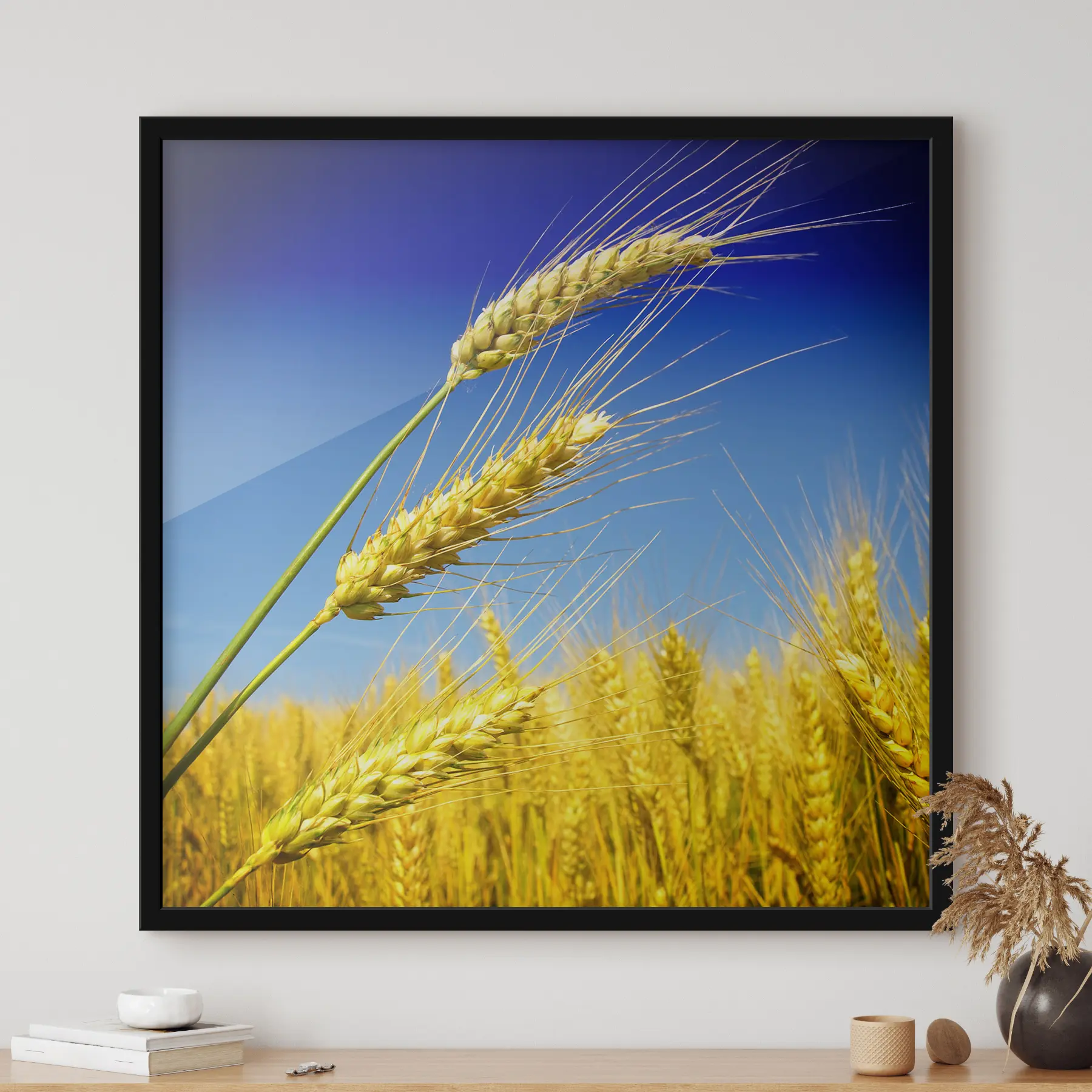 Fototapeta Niebo, roślina i ekoregion f15140