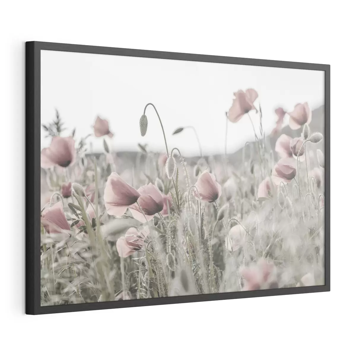 Plakat Maki w stonowanych kolorach f35592