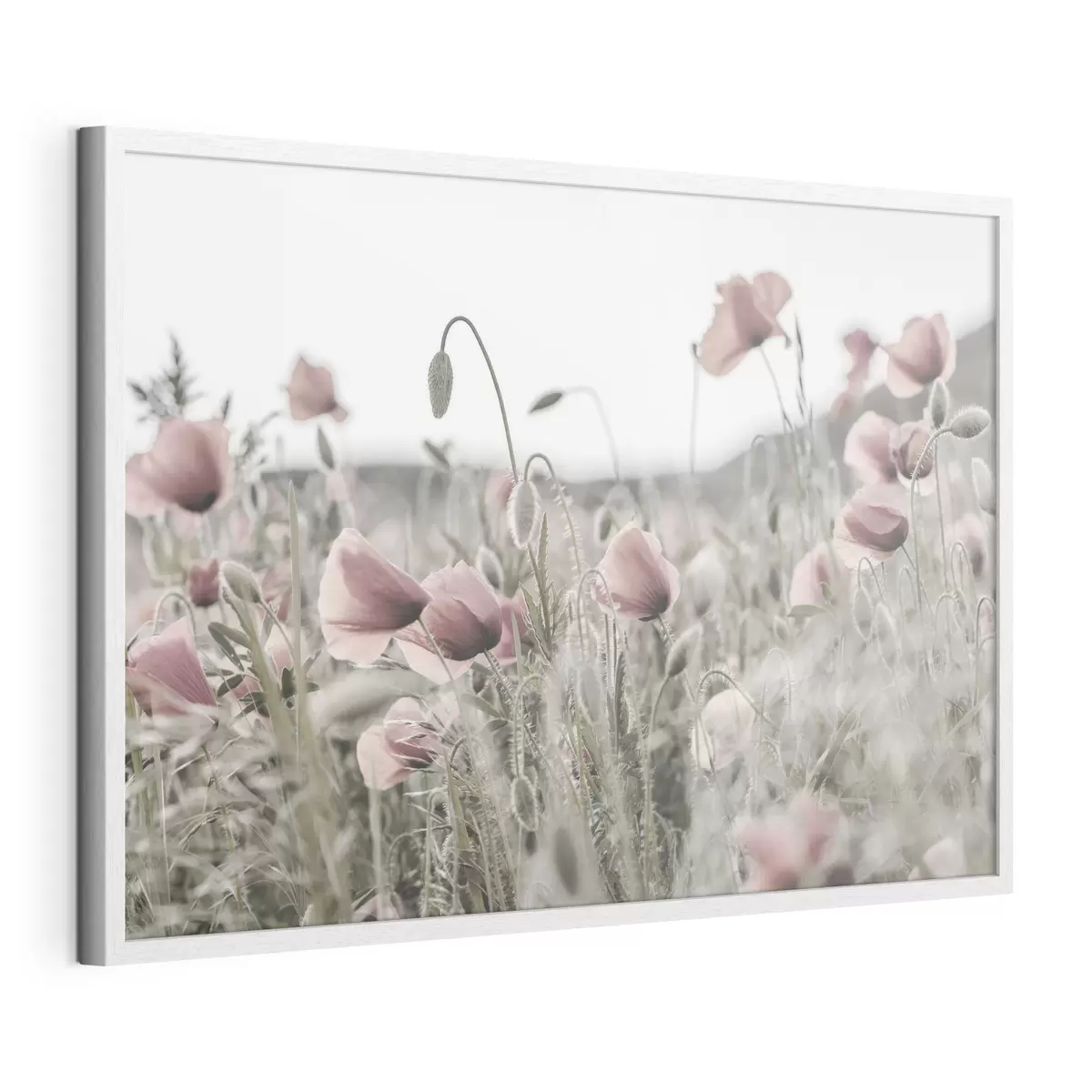 Plakat Maki w stonowanych kolorach f35592